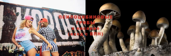 mdpv Сафоново