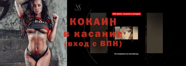 прущие грибы Саяногорск