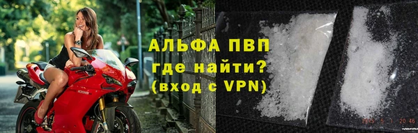 стаф Балахна