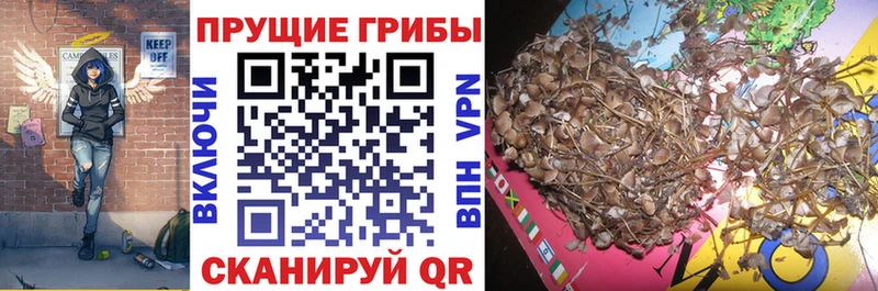 Галлюциногенные грибы MAGIC MUSHROOMS  hydra сайт  Кузнецк 